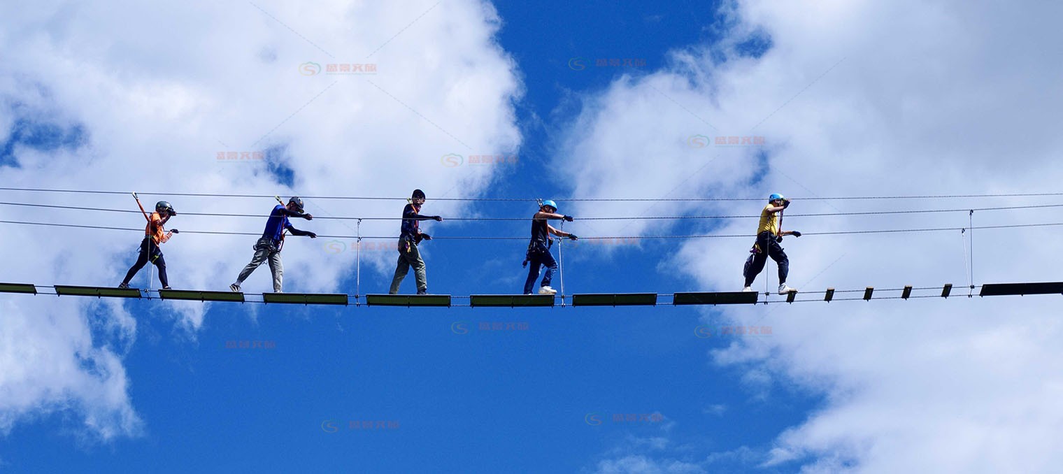 Outdoor Climbing Bridge